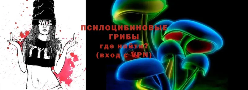 Галлюциногенные грибы Psilocybe  KRAKEN ссылки  Кирс 